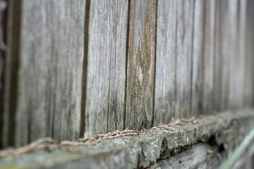 Background from a part of the fence of wooden planks at an acute angle with a low depth of field
