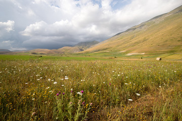 Natural landscape of the plain of Castelluccio di Norcia. Apennines, Umbria, Italy