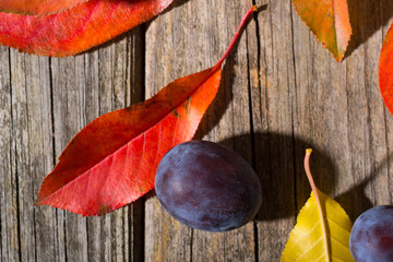 Naklejka na ściany i meble plums and color autumn leaves on old wood table