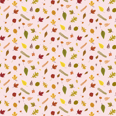 Colourful autumn leaves pattern isolated on pink background