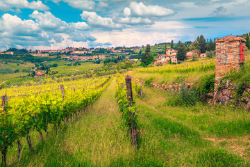Fototapeta na wymiar Picturesque cityscape with green vineyard and cloudy sky, Tuscany, Italy
