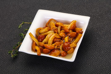 Pickled honey agaric