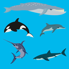 Sea animals and fish vector illustration