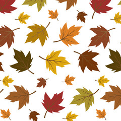 Colourful autumn leaves pattern isolated on white background