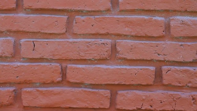Red bricks wall with spider webs slider shoot