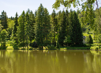 Obraz premium idyllic forest lake in the summer