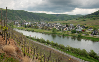 Moselle, Ernst, Germany