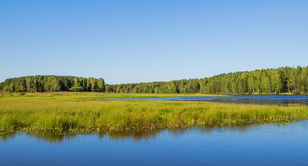Beautiful summer landscape