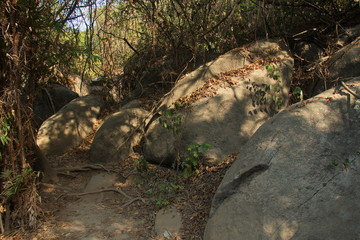 Landscape on the trail to Cabo San Juan in Tayrona NP in Colombia