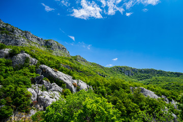 Fototapeta na wymiar Montenegro, Green natural trees and forest surrounding rocks at ostrog monastery pilgrimage site beautiful nature landscape of ostroska grede mountainside