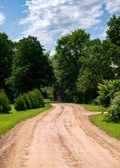 Rural road without asphalt surrounded by green trees.