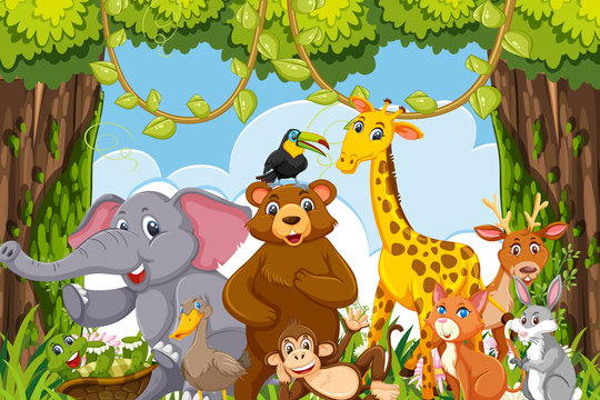 Happy animals in jungle scene