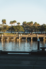 Fototapeta na wymiar Early morning sun lights Darling Island at Pirrama Park/Jones Bay Wharf, Sydney NSW.