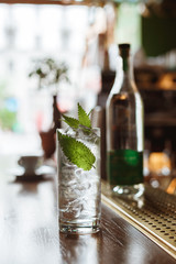 Gin and tonic with nettle and ice cubes in a highball glass at the bar