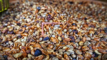 Coffee Beans