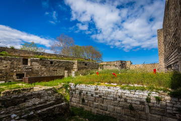 Fototapeta premium Svevo castle 2