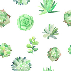 Watercolor seamless pattern with different succulents