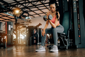 Fototapeta na wymiar sport woman at fitness gym club doing exercise for arms with dumbbells and showing muscle bodybuilding, fitness concept, sport concept