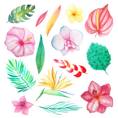 Watercolor tropical exotic flowers and leaves