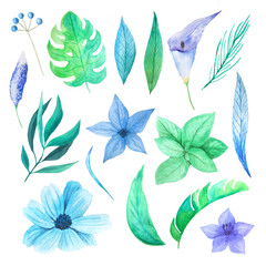 Watercolor tropical exotic flowers and leaves