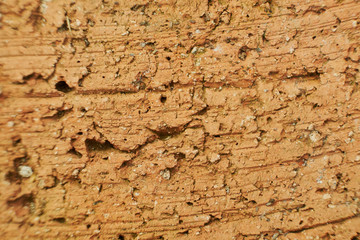 Rust on gland. Texture background for design.