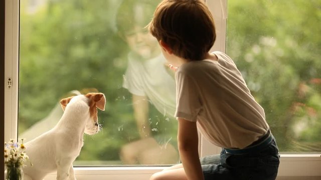 Child and his puppy friend looks out the window. 