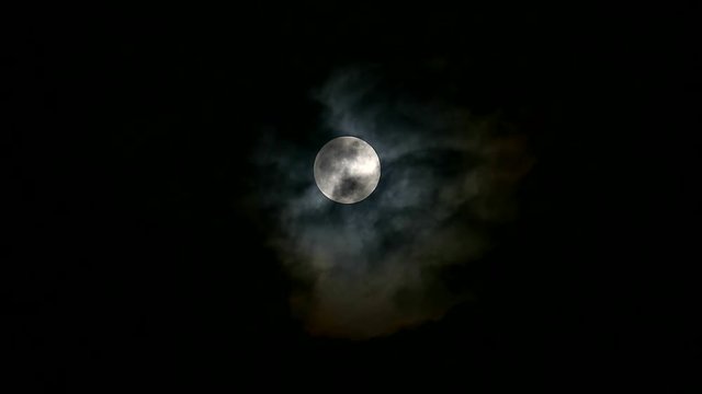 Harvest moon back silhouette transparent dark cloud on the night sky