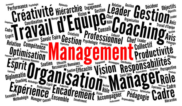 Management nuage de mots