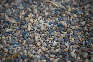 pebbles on the beach