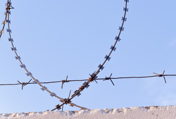 Barbed wire