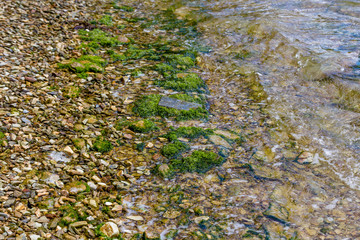 Close up of waves on ocean coast in New Zealand