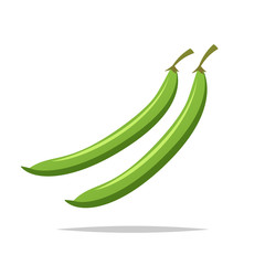 Green beans vector isolated illustration