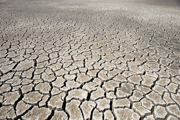 Craquelures dans le sol dues à la sécheresse