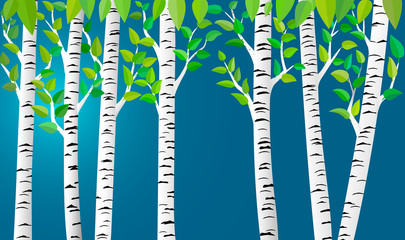 Birch grove background for your design.