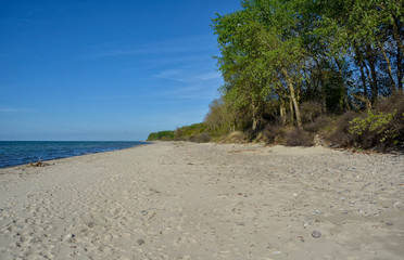 Naturstrand Gross Schwansee