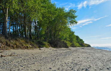 Naturstrand Gross Schwansee