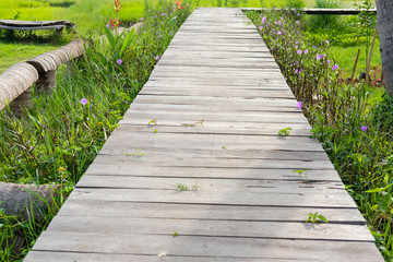 Obraz premium wooden bridge footbridge walkway pathway along flower field
