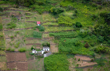 Casas no meio dos campos de cultivo