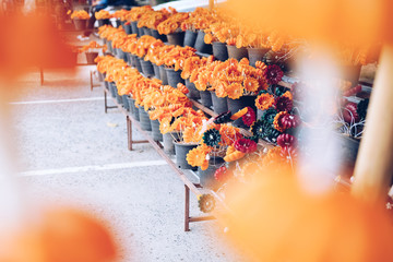 flower candle for making worship merit to buddha