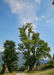 Breitenberghütte