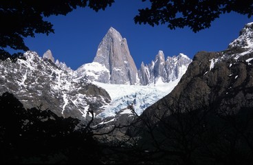 Der erst 1952 erstbestiegene 3441 m hohe, formvollendete, Fitz Roy in Patagonien- Charles Darwin...