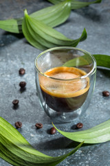 Espresso with foam in a beautiful Cup against the background of coffee beans and green exotic leaves.