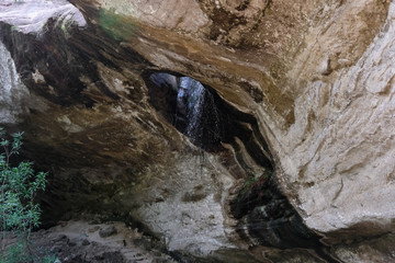 creek water stream waterfall flowing in forest