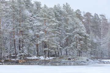 Heavy snowfall at lake shore landscape