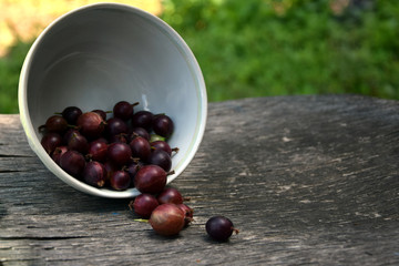 gooseberry spilled out with a bowl.