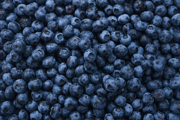 Fresh blueberry background. Texture blueberry berries close up.