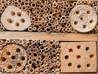 Hotel for insects in the Garden