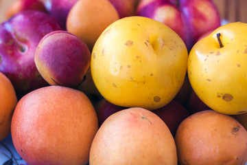 Fruit background. Yellow and blue plums, apricots, peaches close up
