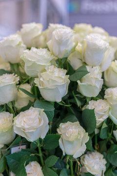 isolated close-up of a huge bouquet of white roses. White roses Flower Arrangement. vertical photo
