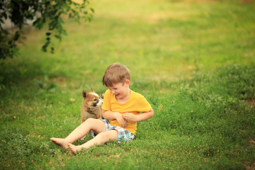 cheerful boy in a yellow t-shirt with a puppy © Olena Kuzmenko